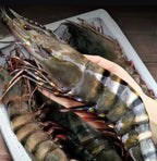 Colossal Black Tiger Prawns